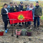 Республиканская акция «Дай лесу новае жыццё!»